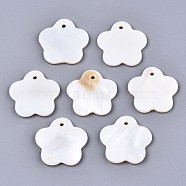 Natural Freshwater Shell Charms, Flower, Seashell Color, 19x19.5x2mm, Hole: 1.6mm(SHEL-S276-116)