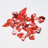 Dyed Natural Shell Nuggets Chips Beads, Orange Red, 11~16x6~9mm, Hole: 1mm, about 980pcs/500g(BSHE-O007-04B)