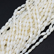 Dyed Natural Shell Beads Strands, Oval, White, 8x4mm, Hole: 1mm, about 50pcs/strand, 15.7 inch(40cm)(BSHE-E023-01C)