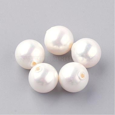 8mm Ivory Round Other Sea Shell Beads