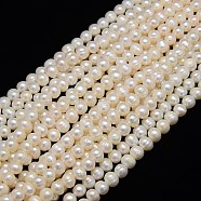 Natural Cultured Freshwater Pearl Beads Strands, Potato, Creamy White, 7~8mm, Hole: 0.8mm, about 46~48pcs/strand, 12.6 inch(PEAR-L001-C-05)
