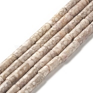 Natural Maifanite/Maifan Stone Beads Strands, Column, 13.5x4mm, Hole: 0.5mm, about 29pcs/strand, 15.43 inch(39.2cm)(X-G-F735-01)