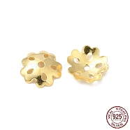 925 Sterling Silver Bead Caps, 5-Petal, Flower, Real 18K Gold Plated, 7x7x1.8mm, Hole: 1mm, about 35pcs/10g(STER-F055-04G)