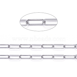 3.28 Feet 304 Stainless Steel Paperclip Chains, Drawn Elongated Cable Chains, Unwelded, Stainless Steel Color,16x6.5x1mm(X-CHS-F011-01A--P)