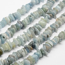 Chips Natural Aquamarine Beads Strands, 7~13x2~5mm, Hole: 1mm, about 14.9 inch(G-N0164-13)