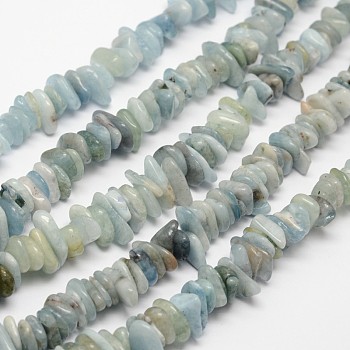 Chips Natural Aquamarine Beads Strands, 7~13x2~5mm, Hole: 1mm, about 14.9 inch