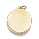 Brass Enamel Pendants(ZIRC-F120-042G)-2