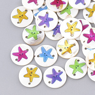Printed Freshwater Shell Links connectors, Flat Round with Starfish/Sea Stars, Mixed Color, 18x2~2.5mm, Hole: 1.6mm(SHEL-S274-20D)