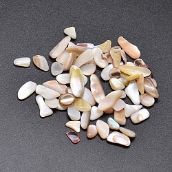 Shell Nuggets Cabochons, Bisque, 6~15x3~7mm, about 2950pcs/500g(BSHE-O007-51)