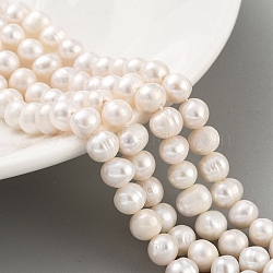 Natural Cultured Freshwater Pearl Beads Strands, Potato, PapayaWhip, 6~7mm, Hole: 0.6mm, about 29pcs/strand, 6.69 inch(17cm)(PEAR-C003-12F)