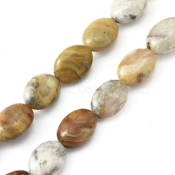 Natural Crazy Lace Agate Beads Strands, Flat Oval, 13.5x9.5~10x5.5mm, Hole: 1mm, about 27~28pcs/strand, 14.49~15.47''(36.8~39.3cm)(G-WH0026-20)