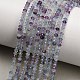 Natural Fluorite Beads Strands(GG-CBAA9B4-A08-02)-1