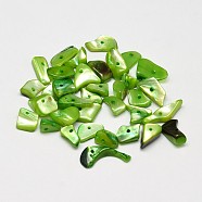 Dyed Natural Shell Nuggets Chips Beads, Lime Green, 11~16x6~9mm, Hole: 1mm, about 980pcs/500g(BSHE-O007-04E)
