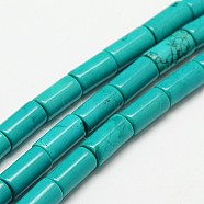 Column Natural Magnesite Beads Strands, 	Turquoise, Dyed & Heated, Turquoise, 16x8mm, Hole: 1mm, about 25pcs/strand, 15.7 inch(G-N0131-27-8x16mm)