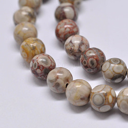 Natural Maifanite/Maifan Stone Beads Strands, Round, 4mm, Hole: 1mm, about 90pcs/strand, 15.1 inch(X-G-F353-4mm)