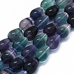 Natural Fluorite Beads Strands, Teardrop, 14x10mm, Hole: 0.8mm, about 28pcs/strand, 15.94 inch(40.5cm)(G-O170-176)