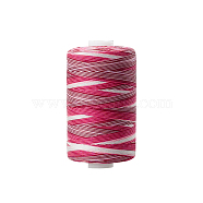Polyester Sewing Thread, for Hand & Machine Sewing, Segment Dyed, Embroidery, Colorful, 0.4mm, 1000yard/roll.(PW-WG90757-31)