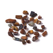 Natural Tiger Eye Chip Beads, No Hole, 5~10.5x5~7x2~4mm, about 3000pcs/1000g(G-O103-19A)