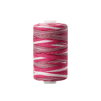 Polyester Sewing Thread, for Hand & Machine Sewing, Segment Dyed, Embroidery, Colorful, 0.4mm, 1000yard/roll.