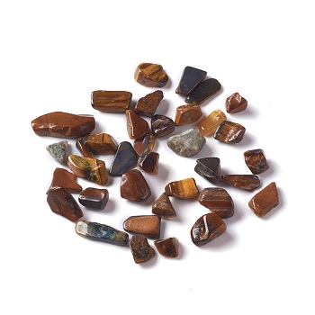 Natural Tiger Eye Chip Beads, No Hole, 5~10.5x5~7x2~4mm, about 3000pcs/1000g