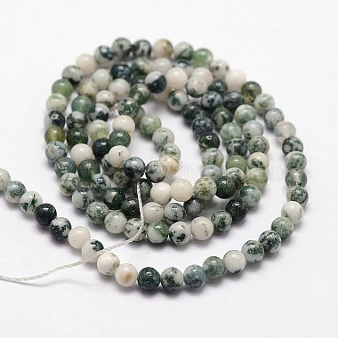 Natural Tree Agate Beads Strands(G-N0192-01-3mm)-2