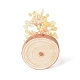 Copeaux de quartz jaune naturel avec arbre d'argent en fil de laiton enveloppé sur des décorations d'affichage à base de bois(DJEW-B007-05F)-3