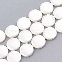 Spray Paint Freshwater Shell Beads, Flat Round, White, 14x3~3.5mm, Hole: 0.5mm, about 36~38pcs/strand, 14.9 inch~16.1 inch(SHEL-S274-10C)