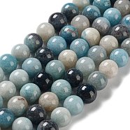 Natural Trolleite Beads Strands, Round, 10~10.5mm, Hole: 1mm, about 37pcs/strand, 15.35 inch(39cm)(G-NH0002-B01-03)