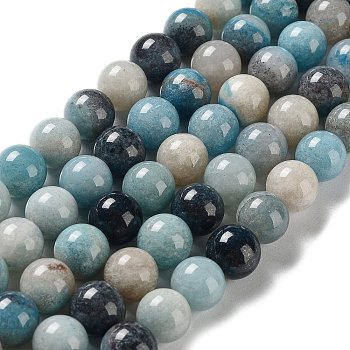 Natural Trolleite Beads Strands, Round, 10~10.5mm, Hole: 1mm, about 37pcs/strand, 15.35 inch(39cm)