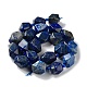 Natural Lapis Lazuli Beads Strands(G-C182-20-01)-3