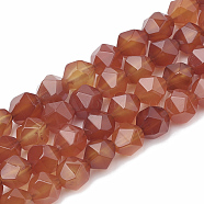 Natural Carnelian Beads Strands, Faceted, Dyed, Star Cut Round Beads, 6~7x5~6mm, Hole: 1mm, about 59~61pcs/strand, 14.2~14.6 inch(G-S332-6mm-005)
