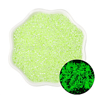 Luminous Glow in the Dark Glass Seed Beads, Round, Green Yellow, 2.5mm, Hole: 1mm, about 700pcs/bag(PW-WG72127-05)