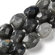 Natural Labradorite Beads Strands, Nuggets, Faceted, with Seed Beads, 14~17x11~14x9~13.5mm, Hole: 1mm, about 20~22pcs/strand, 15.16~15.75 inch(38.5~40cm)(G-C105-A02-01)
