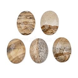 Natural Picture Jasper Cabochons, Oval, 30x22x7mm(G-Q186-01E)