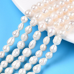Natural Baroque Pearl Keshi Pearl Beads Strands, Cultured Freshwater Pearl, Teardrop, Creamy White, 5~9x5~7mm, Hole: 0.6mm, about 27~29pcs/strand, 7.48~7.68 inch(19~19.5cm)(PEAR-S020-F04-02)