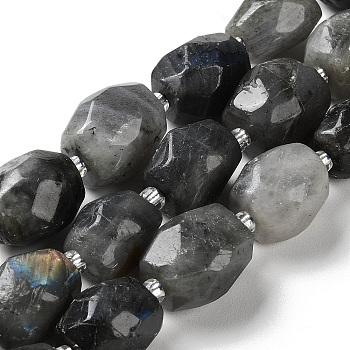 Natural Labradorite Beads Strands, Nuggets, Faceted, with Seed Beads, 14~17x11~14x9~13.5mm, Hole: 1mm, about 20~22pcs/strand, 15.16~15.75 inch(38.5~40cm)