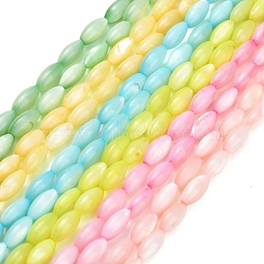 eau douce naturelle de coquillage perles brins(SHEL-C010-01)-1