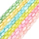 eau douce naturelle de coquillage perles brins(SHEL-C010-01)-1