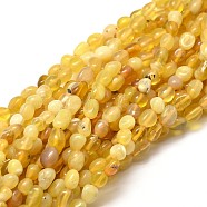 Natural Yellow Opal Nuggets Beads Strands, Tumbled Stone, 5~10x6~7x3~7mm, hole: 1mm, about 14.9 inch~15.7 inch(G-J335-42)