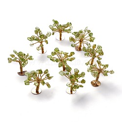 Natural Peridot Chips Display Decorations, with Golden Plated Brass Wires, Lucky Tree, 24~27x32~41x33~42mm(G-Z016-13F)