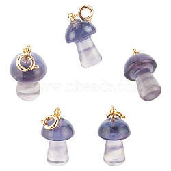 Carved Natural Fluorite Pendants, with Golden Brass Spring Ring Clasps, Long-Lasting Plated, Mushroom, 28mm, Pendant: 20x11.5mm, 5pcs(G-NB0002-22)