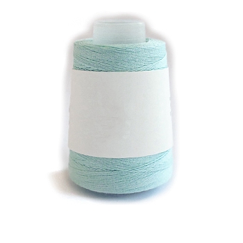 280M Size 40 100% Cotton Crochet Threads, Embroidery Thread, Mercerized Cotton Yarn for Lace Hand Knitting, Pale Turquoise, 0.05mm