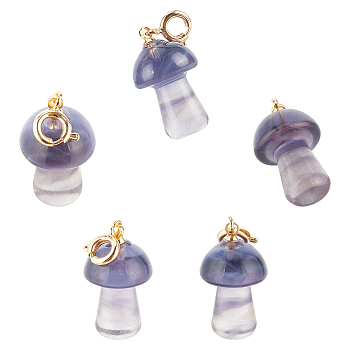 Carved Natural Fluorite Pendants, with Golden Brass Spring Ring Clasps, Long-Lasting Plated, Mushroom, 28mm, Pendant: 20x11.5mm, 5pcs