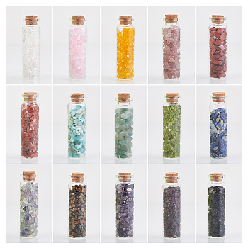 Glass Wishing Bottle, For Pendant Decoration, with Gemstone Chip Beads Inside and Cork Stopper, 22x71mm, Capacity: 20ml(0.67 fl. oz), 15pcs/set