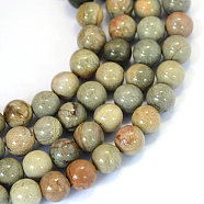 Natural Silver Leaf Jasper Round Bead Strands, 8~8.5mm, Hole: 1mm, about 47pcs/strand, 15.5 inch(X-G-E334-8mm-04)