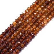 Natural Garnet Beads Strands, Faceted, Round, 3mm, Hole: 0.7mm, about 132pcs/strand, 15.16''~15.55''(38.5~39.5cm)(G-P457-A02-27)