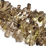 Nuggets Natural Smoky Quartz Bead Strands, 10~26x3~10mm, Hole: 1mm, about 16.1 inch(G-M267-03)