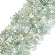 Natural Aquamarine Beads Strands, Grade A, Chip, 3~16x3~8mm, Hole: 0.7mm, 32.28''(82cm)(G-F703-11)