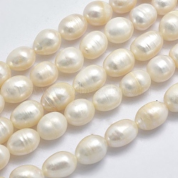 Natural Cultured Freshwater Pearl Beads Strands, Oval, Beige, 10~14x9~10mm, Hole: 0.8mm, about 34pcs/strand, 13.8 inch(35cm)(PEAR-F007-69-01)
