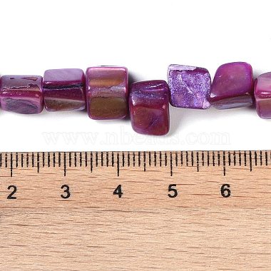 Dyed Natural Freshwater Shell Beads Strands(X-SHEL-P016-01D)-4